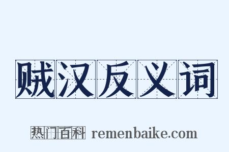 贼汉反义词是什么意思的图片